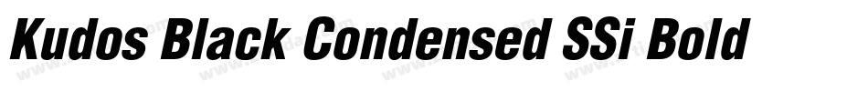 Kudos Black Condensed SSi Bold Condensed字体转换